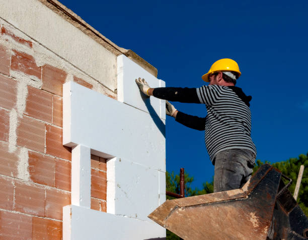 Best Insulation Maintenance and Repair in Anna, IL