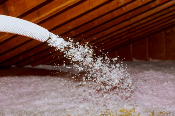 Best DIY Insulation Kits and Guidance in Anna, IL